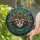 Regal Crowned Cat Emerald Eye Tiffany Stained Glass Ornate Foliage Decor Stained Glass Suncatcher - 2