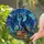 Dark Blue-Black Dragon Glowing Eyes Books - Celestial Night Sky Tiffany Stained Glass Art Stained Glass Suncatcher - 2