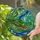 Alligator Head Stained Glass Art with Water Bubbles & Ripples - Tiffany Style Stained Glass Suncatcher - 2