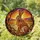 Brown Hare Stained Glass Sunset Landscape Tree Roots - Jewel Tones Tiffany Art Stained Glass Suncatcher - 1