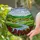 Rolling Hills River Sheep Red Flowers - Tiffany Style Stained Glass Pastoral Landscape Stained Glass Suncatcher - 2