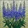 Blue Purple Delphinium Stained Glass Flowers - Tiffany Style Jewel Tone Garden Art Stained Glass Suncatcher - 5