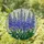 Blue Purple Delphinium Stained Glass Flowers - Tiffany Style Jewel Tone Garden Art Stained Glass Suncatcher - 1