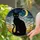 Black Cat Stained Glass Intricate Night Sky Crescent Moon Golden Stars Mosaic Art Stained Glass Suncatcher - 2