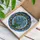 Blue Forget-Me-Not Flowers Tiffany Stained Glass Mosaic Art Translucent Jewel Tones Stained Glass Suncatcher - 3
