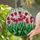 Vibrant Tulips Stained Glass Mosaic - Tiffany Style Floral Window Artwork Decor Stained Glass Suncatcher - 2