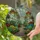 Tiffany Style Stained Glass Greenhouse Succulents Flowering Plants Pathway - Garden Decor Stained Glass Suncatcher - 2