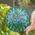 Forget-me-not Flowers Stained Glass with Ornate Jewel Border - Tiffany Style Home Decor Stained Glass Suncatcher - 2