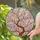 Pink Cherry Blossom Stained Glass Gnarled Branch Tiffany Mosaic Spring Decor Gift Stained Glass Suncatcher - 2