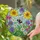 Plump Bumblebee Stained Glass Flowers - Tiffany Style Botanical Garden Window Decor Art Stained Glass Suncatcher - 2