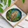 Majestic Barn Owl Stained Glass Tiffany Style Art - Intricate Nature Wildlife Bird Gift Stained Glass Suncatcher - 3