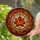 Densely Detailed Tiffany Style Stained Glass Autumnal Maple Leaf Fall Window Decor Stained Glass Suncatcher - 2