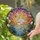 White Flamingo Tropical Flowers Sunset Water Mosaic - Jewel Tone Tiffany Stained Glass Art Stained Glass Suncatcher - 2
