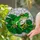 Intricate Tree Frog Stained Glass Lily Pad Mosaic - Glowing Tiffany Style Jewel Art Stained Glass Suncatcher - 2
