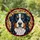 Bernese Mountain Dog Stained Glass Mosaic - Tiffany Style Jewel Tone Expressive Eyes Art Stained Glass Suncatcher - 1