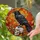 Black Raven Skull Autumn Leaves Mosaic - Red Eye Tiffany Style Intricate Layered Foliage Art Stained Glass Suncatcher - 2