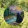 Black Bear River Mountains Evergreen Trees Stained Glass - Sun Rays Window Decor Stained Glass Suncatcher - 1