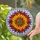 Vibrant Dahlia Chrysanthemum Stained Glass Flower - Tiffany Style Layered Petal Mosaic Stained Glass Suncatcher - 2