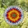 Vibrant Dahlia Chrysanthemum Stained Glass Flower - Tiffany Style Layered Petal Mosaic Stained Glass Suncatcher - 1