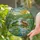 Frogs On Lily Pads Pond Stained Glass - Intricate Colorful Tiffany Sun & Hills Window Decor Stained Glass Suncatcher - 2