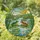 Frogs On Lily Pads Pond Stained Glass - Intricate Colorful Tiffany Sun & Hills Window Decor Stained Glass Suncatcher - 1