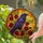 Majestic Raven Rose Stained Glass Mosaic - Tiffany Jewel Tones Intricate Glowing Design Stained Glass Suncatcher - 2