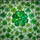 Tiffany Style Stained Glass Four Leaf Clover Shamrock Mosaic - St. Patrick's Day Irish Luck Stained Glass Suncatcher - 5