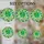 Tiffany Style Stained Glass Four Leaf Clover Shamrock Mosaic - St. Patrick's Day Irish Luck Stained Glass Suncatcher - 4