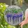 Tiffany Style Wisteria Stained Glass Jewel Tones - Frosted Clear Mosaic Intricate Art Stained Glass Suncatcher - 2