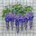 Tiffany Style Wisteria Stained Glass Jewel Tones - Frosted Clear Mosaic Intricate Art Stained Glass Suncatcher - 5