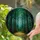 Enchanted Forest Glowing Fireflies Stained Glass Design - Mystical Nature Lover Gift Stained Glass Suncatcher - 2