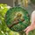 Bearded Dragon Lizard Stained Glass Art - Tiffany Style Jewel Tone Jungle Foliage Mosaic Stained Glass Suncatcher - 2
