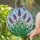 Lavender Flower Stained Glass Tiffany Art - Purple Green Blue Mosaic Sky Window Decor Stained Glass Suncatcher - 2