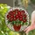Tiffany Style Stained Glass Red Flowers Terracotta Pot Jewel Tone Mosaic Pattern Art Stained Glass Suncatcher - 2