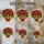 Tiffany Style Stained Glass Red Flowers Terracotta Pot Jewel Tone Mosaic Pattern Art Stained Glass Suncatcher - 4