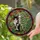 Black Tuxedo Cat Rib Cage Tropical Leaves Tiffany Style Stained Glass Home Decor Stained Glass Suncatcher - 2