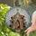 Stained Glass Chapel Rose Garden & Floral Vines - Intricate Tiffany Mosaic Sky Art Stained Glass Suncatcher - 2