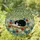 Sleeping Tuxedo Cat on Book, Meadow Daisies & Poppies - Tiffany Stained Glass Jewel Tones Stained Glass Suncatcher - 1