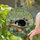 Sleeping Tuxedo Cat on Book, Meadow Daisies & Poppies - Tiffany Stained Glass Jewel Tones Stained Glass Suncatcher - 2