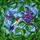 Ruby-throated Hummingbird Tiffany Stained Glass - Lilac Flowers Jewel Tone Art Stained Glass Suncatcher - 5