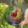 Tiffany Stained Glass Wine Glass Grapevine Grapes Jewel-Toned Intricate Mosaic Art Stained Glass Suncatcher - 2