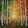 Birch Forest Path Stained Glass Art - Sunrise Glow & Autumn Leaves Tiffany Style Decor Stained Glass Suncatcher - 5