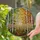 Birch Forest Path Stained Glass Art - Sunrise Glow & Autumn Leaves Tiffany Style Decor Stained Glass Suncatcher - 2