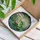 Green Frog Reading Book on Lily Pad Lotus Pond Iridescent Fairy Wings Jewel Tone Stained Glass Suncatcher - 3