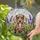 Dapple Dachshund Puppy Stained Glass Wildflower - Jewel Tones Tiffany Style Gift for Dachshund Lovers Stained Glass Suncatcher - 2