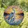 Great Blue Heron Juvenile Stained Glass Sunset Lake Marsh - Tiffany Style Window Art Stained Glass Suncatcher - 1