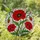 Red Poppy Stained Glass Art - Tiffany Style Floral Mosaic Translucent Glass Decor Stained Glass Suncatcher - 1