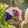 Regal Purple Dragon on Antique Books with Treasure - Stained Glass Jewel Tones Art Stained Glass Suncatcher - 2