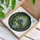 Raccoon Butterfly Book - Enchanted Forest Tiffany Style Stained Glass Mosaic Decor Stained Glass Suncatcher - 3