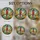 Macaw Parrot Witch Hat Stained Glass Tropical Flowers Mosaic Art - Glowing Tiffany Stained Glass Suncatcher - 4